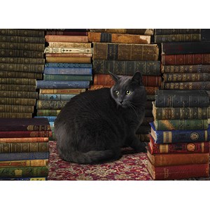 Cobble Hill (51830) - "Library Cat" - 1000 piezas