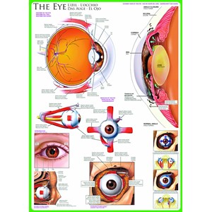 Eurographics (6000-0260) - "The Eye" - 1000 piezas