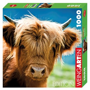Heye (29745) - "Highland Cow" - 1000 piezas