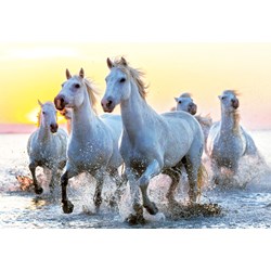Educa (17105) - "White Horses At Sunset" - 1000 piezas