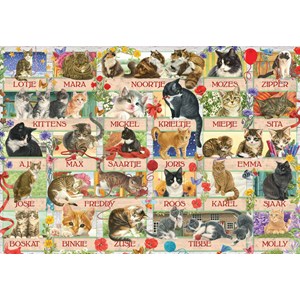 Jumbo (18324) - "Francien's Anniversary Cats" - 1000 piezas