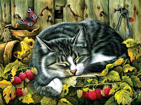 SunsOut (39425) - "Siesta" - 1000 piezas