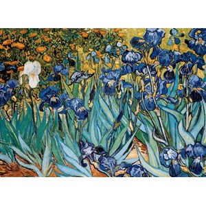 Eurographics (6000-4364) - Vincent van Gogh: "Irises" - 1000 piezas