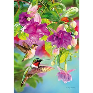 Piatnik (546747) - Greg Giordano: "Hummingbirds" - 1000 piezas