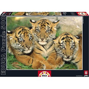 Educa (15965) - "Tiger Cubs" - 500 piezas