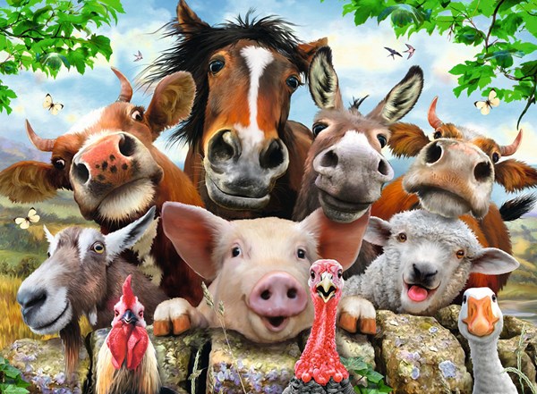 Ravensburger (13207) - Howard Robinson: "Say Cheese!" - 300 piezas