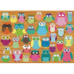 Schmidt Spiele (58196) - "Owl Collage" - 500 piezas