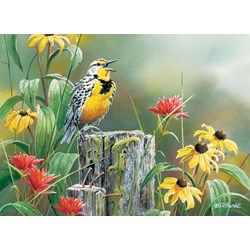 Cobble Hill (51720) - "Meadowlark Morning" - 1000 piezas