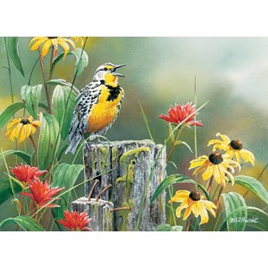 Cobble Hill (51720) - "Meadowlark Morning" - 1000 piezas