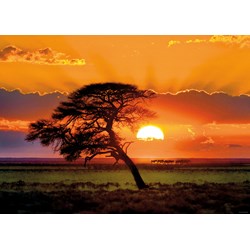 Heye (29689) - "Sunny Tree" - 1000 piezas