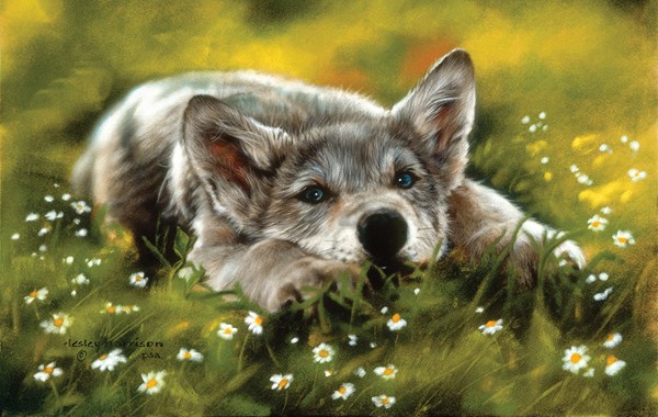 SunsOut (24755) - Leslie Harrison: "No Worries" - 550 piezas