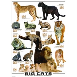 Eurographics (6000-0125) - "Big Cats" - 1000 piezas