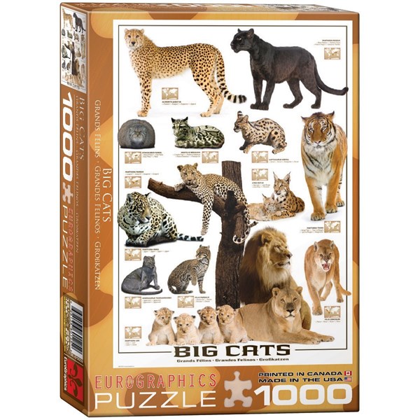 Eurographics 6000 0125 Big Cats 1000 Piezas