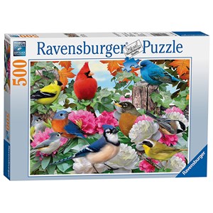 Ravensburger (14223) - Howard Robinson: "Garden Birds" - 500 piezas