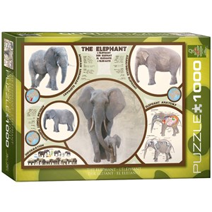 Eurographics (6000-0241) - "The Elephant" - 1000 piezas