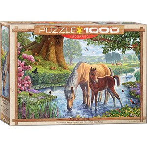 Eurographics (6000-0976) - Steve Crisp: "The Fell Ponies" - 1000 piezas