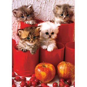Eurographics (6000-4674) - "Kittens in Pots" - 1000 piezas