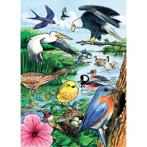 Cobble Hill (58809) - "North American Birds" - 35 piezas