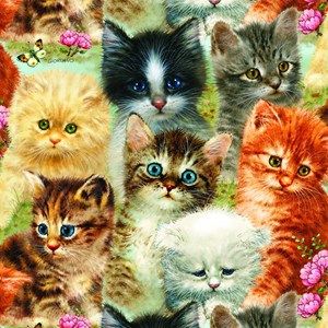 SunsOut (37116) - Greg Giordano: "A Pile of Kittens" - 1000 piezas