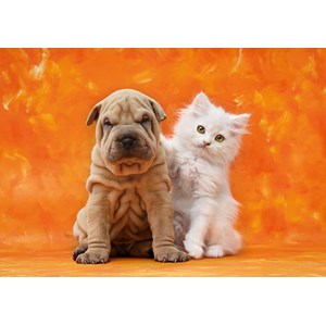 Clementoni (31634) - "So Cute" - 1500 piezas