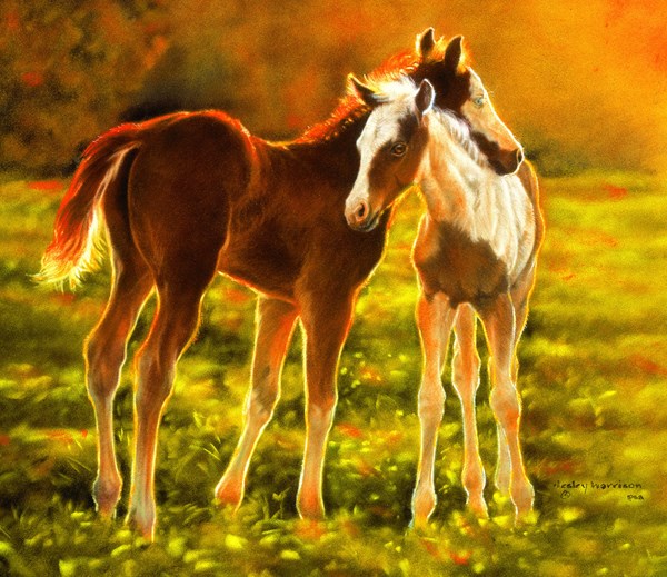 SunsOut (39506) - "Backlit Foals" - 550 piezas