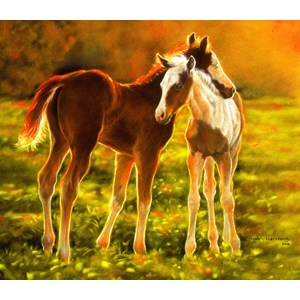 SunsOut (39506) - "Backlit Foals" - 550 piezas