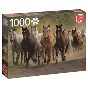 Jumbo (18541) - "Team of Horses" - 1000 piezas