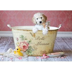 Educa (16736) - Lisa Jane: "Belle Maison" - 500 piezas