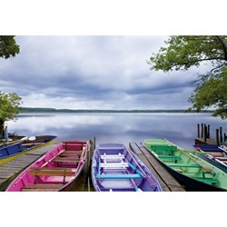 Educa (15984) - "Changing Seasons" - 1000 piezas