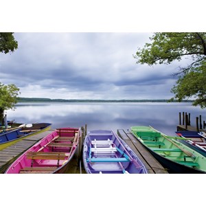 Educa (15984) - "Changing Seasons" - 1000 piezas