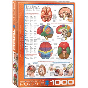 Eurographics (6000-0256) - "The Brain" - 1000 piezas