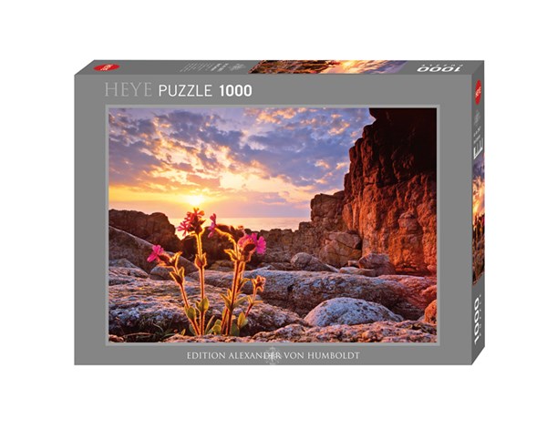 Heye (29671) - Alexander von Humboldt: "Red Campion" - 1000 piezas