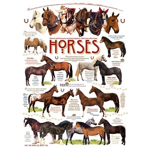 Cobble Hill (51825) - "Horse Quotes" - 1000 piezas