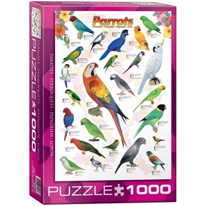 Eurographics (6000-0126) - "Parrots" - 1000 piezas