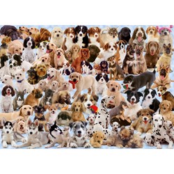 Ravensburger (15633) - "Dogs Galore!" - 1000 piezas