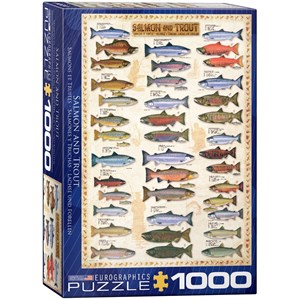 Eurographics (6000-0311) - "Salmon & Trout" - 1000 piezas