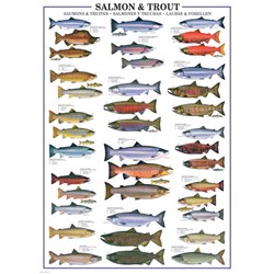 Eurographics (6000-0311) - "Salmon & Trout" - 1000 piezas