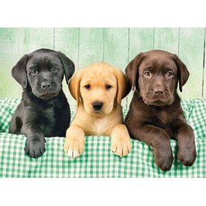 Clementoni (39279) - Greg Cuddiford: "Three Labs" - 1000 piezas