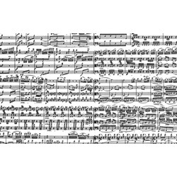 Piatnik (543449) - "Musical Notes" - 1000 piezas