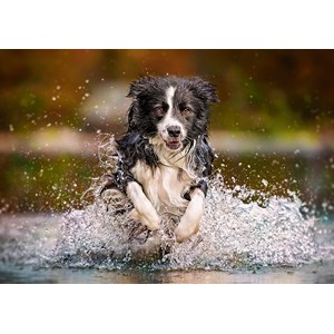 Castorland (B-52424) - "Taste of Freedom" - 500 piezas