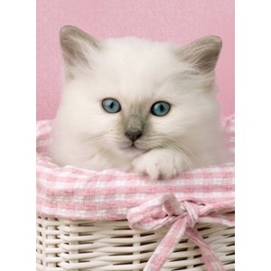 Clementoni (30391) - "Sweet Eyes" - 500 piezas
