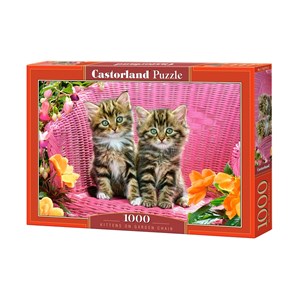 Castorland (C-103775) - "Kittens on Garden Chair" - 1000 piezas
