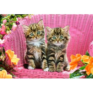 Castorland (C-103775) - "Kittens on Garden Chair" - 1000 piezas