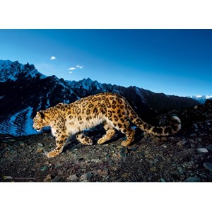 Clementoni (39376) - "Snow Leopard" - 1000 piezas