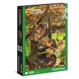 Clementoni (39301) - "Chimpanzee" - 1000 piezas