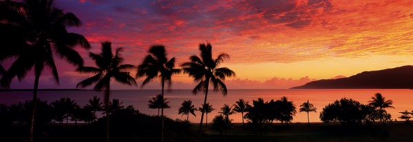 Schmidt Spiele (59308) - Mark Gray: "Trinity Bay, Cairns, Queensland, Australia" - 1000 piezas