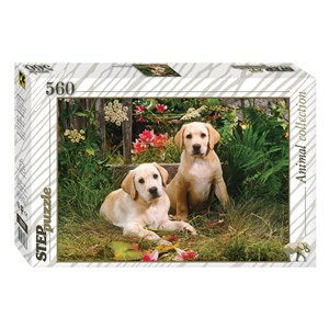 Step Puzzle (78076) - "Labrador Puppies" - 560 piezas