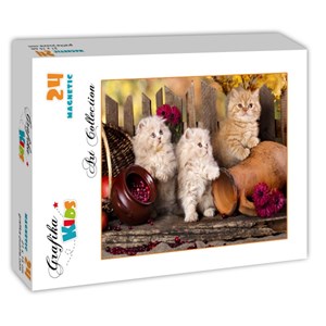 Grafika Kids (00322) - "Persian kittens" - 24 piezas