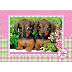 Castorland (13142) - "Dachshund Puppies" - 120 piezas