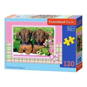 Castorland (13142) - "Dachshund Puppies" - 120 piezas